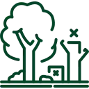tree (2)
