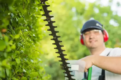 tree-trimming-imh
